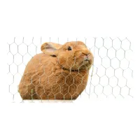 Šesťhranné pletivo zelené 16x0.9x1000 mm