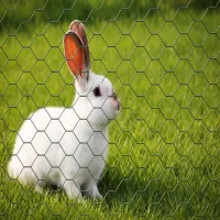 Šesťhranné pletivo zelené 16x0.9x1000 mm