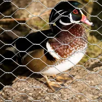 Šesťhranné pletivo ZN 20x0.7x1000 mm