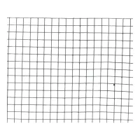 Zvárané pletivo Petnet ZN 13x13/1.0mm/1m